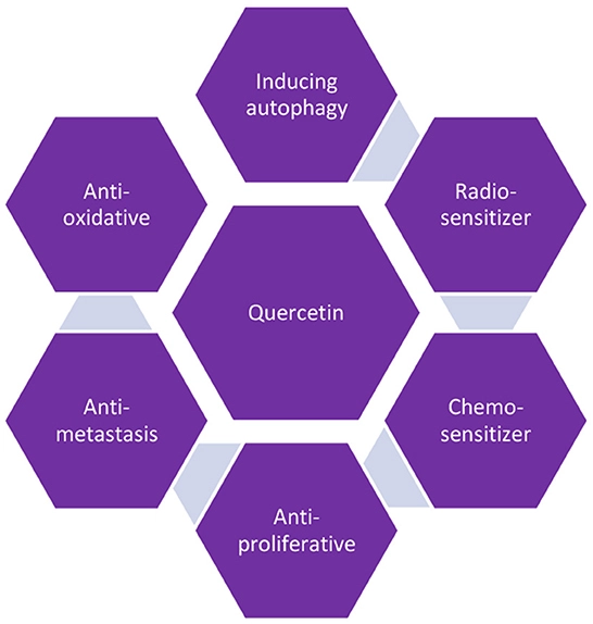 quercetin benefits quercetin benefits