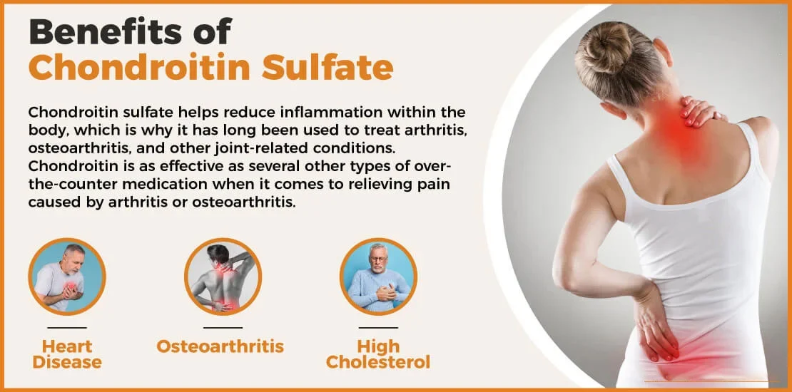 Chondroitin Sulfate Benefits