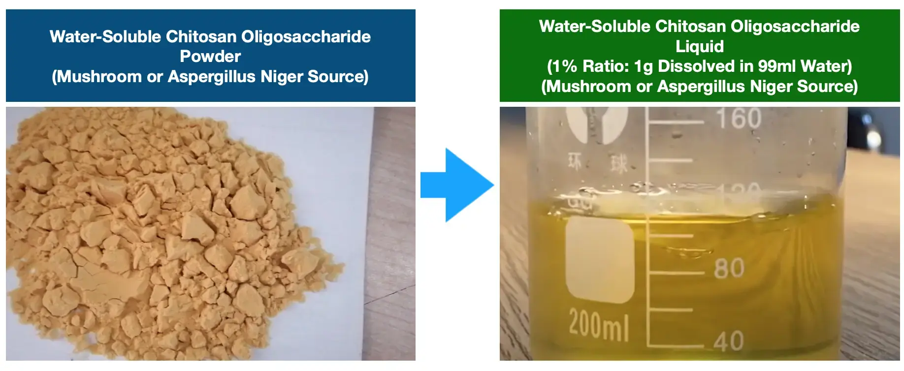 Chitosan oligosaccharide powder Chitosan oligosaccharide powder