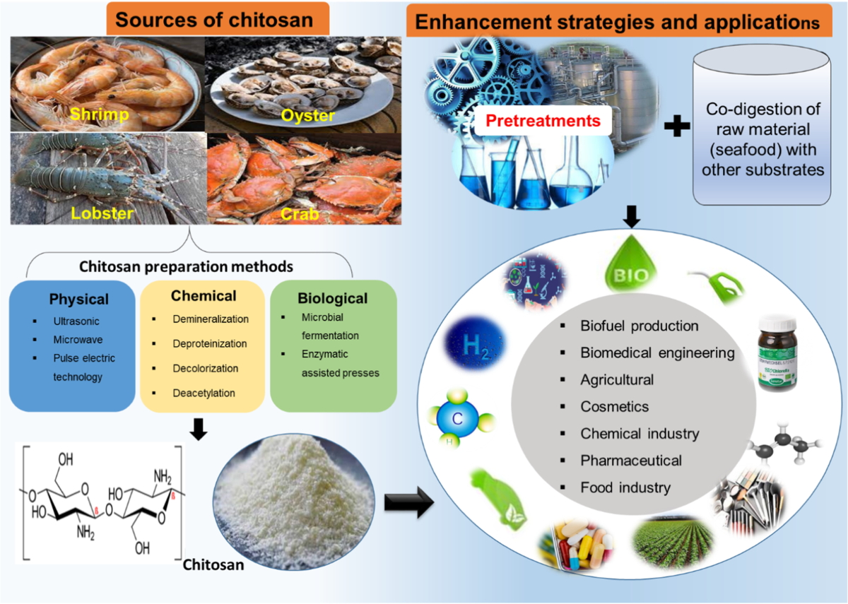 Chitosan Oligosaccharide Powder Uses Chitosan Oligosaccharide Powder Uses
