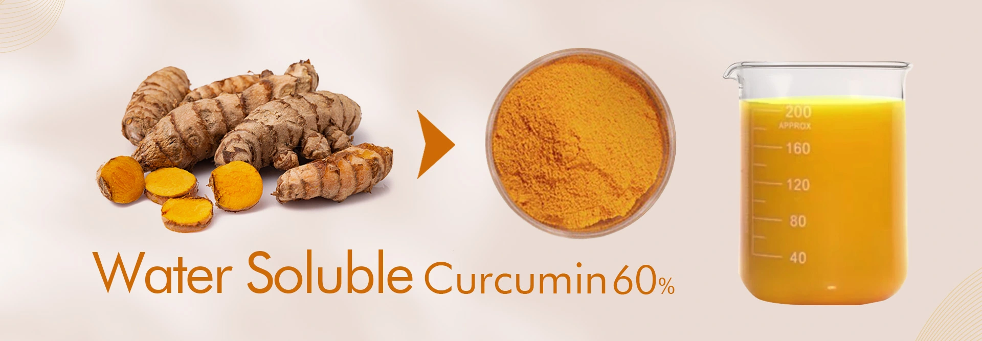 water soluble curcumin powder