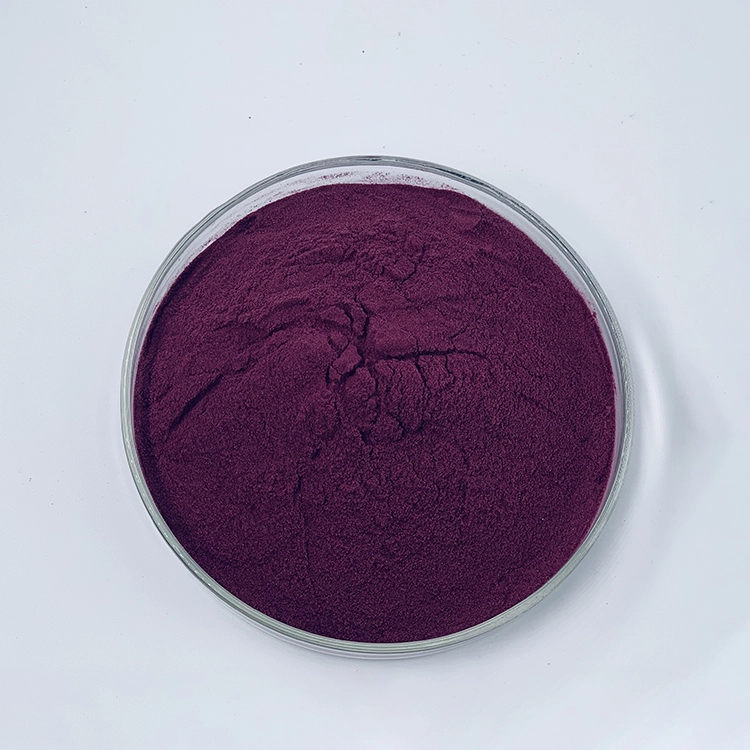 elderberry powder