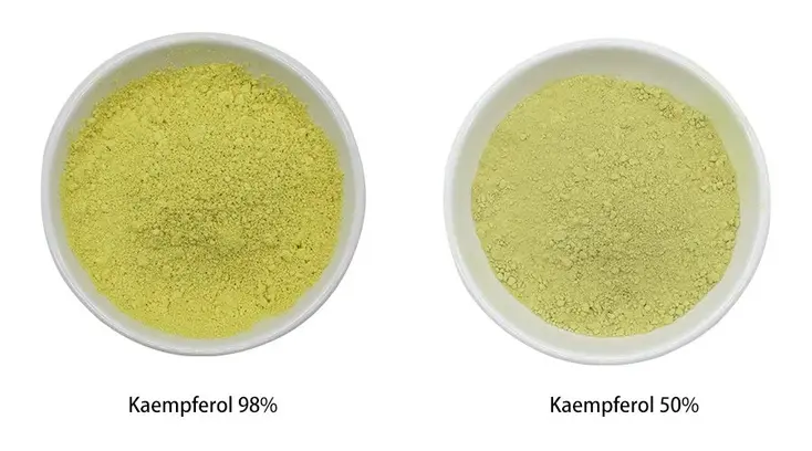 Kaempferol powder