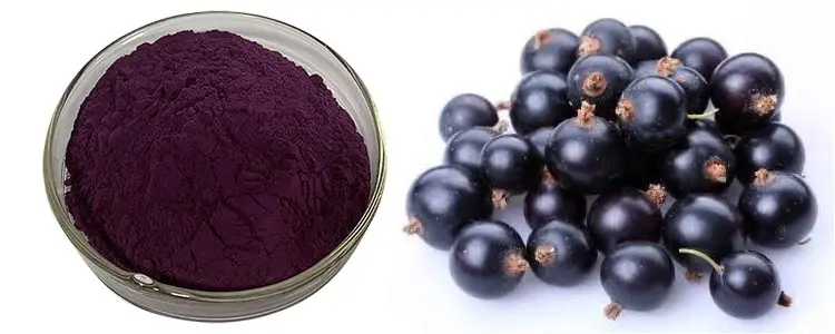 Acai fruit powder