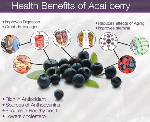 Acai berry powder applications