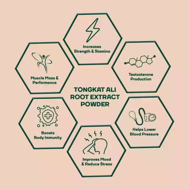 Tongkat ali extract powder benefits 