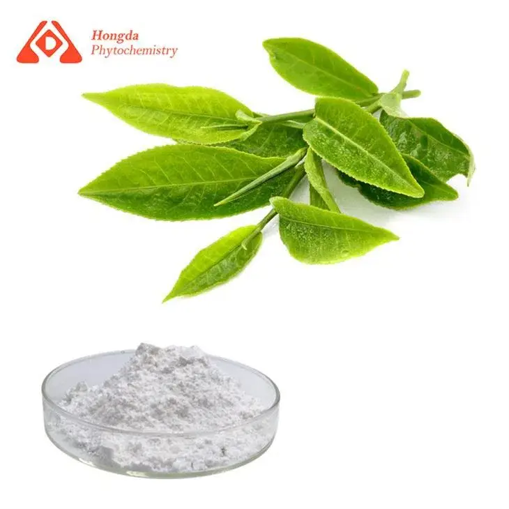L-Theanine Powder