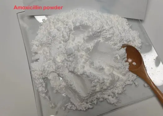 amoxicillin