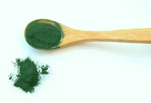 Chlorella powder Chlorella powder