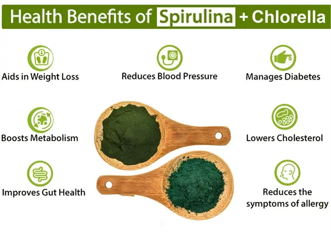 chlorella powder and spirulina powder benefits