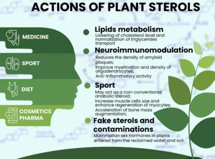 Health Benefits of pine phytosterols