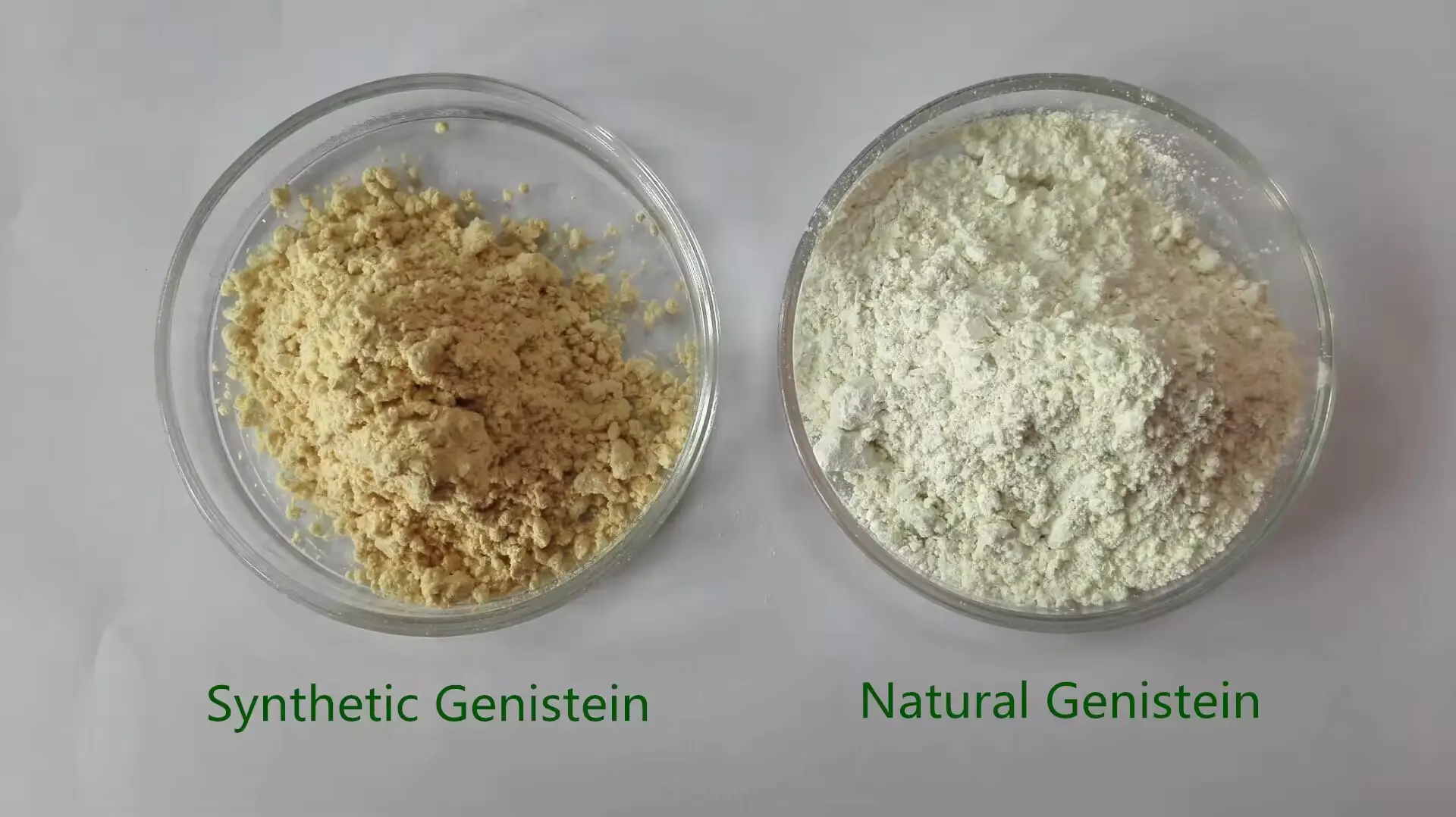 Genistein powder