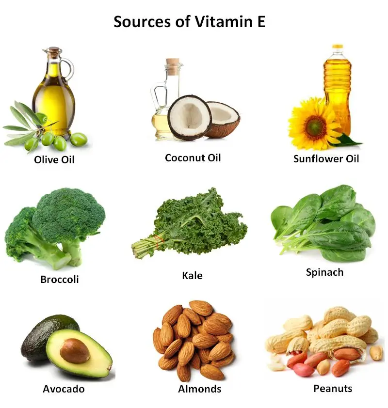 Vitamin E Benefits | Foods Sources and Health Benefits of Vitamin E Vitamin E Benefits | Foods Sources and Health Benefits of Vitamin E