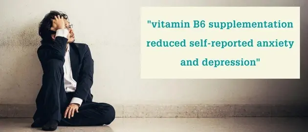Bulk Vitamin B6 Powder APPLICATION