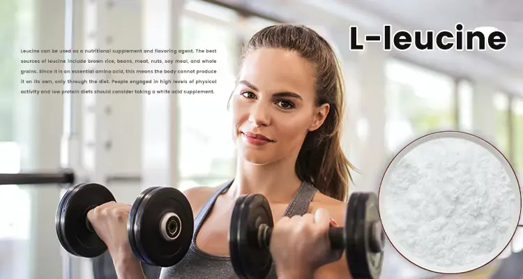 Leucine Bulk Powder
