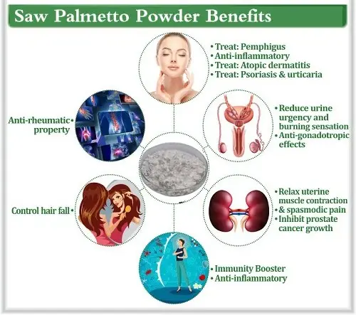 saw palmetto extract benefits saw palmetto extract benefits