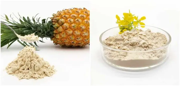 High Quality Bromelain Extract Powder Manufacturers Suppliers 