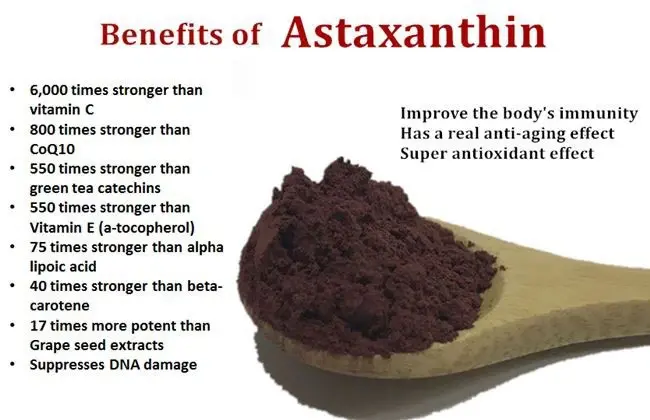 Astaxanthin Powder benefits