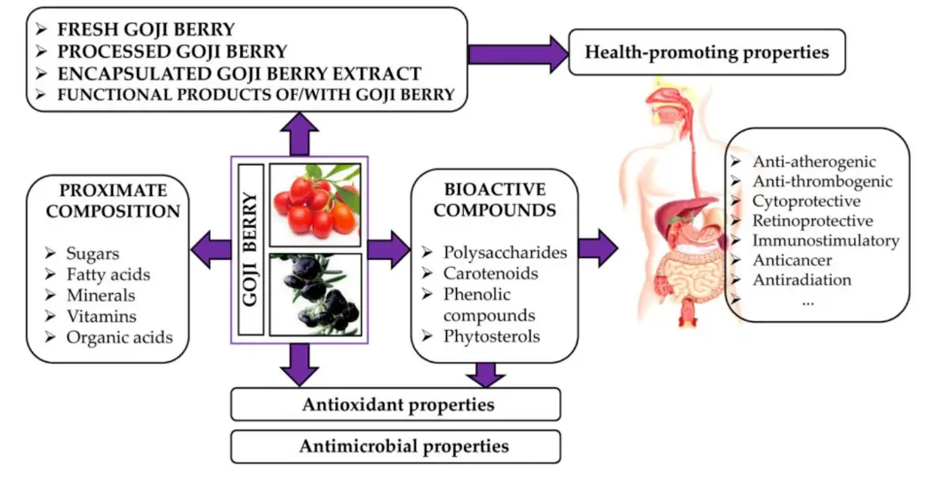 Goji Berry extract benefits Goji Berry extract benefits