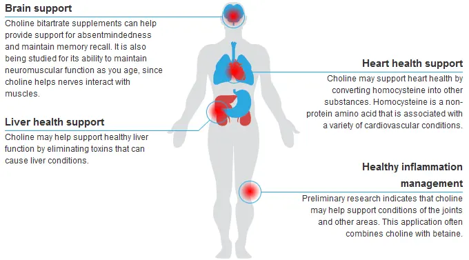 Choline Bitartrate Benefits Choline Bitartrate Benefits