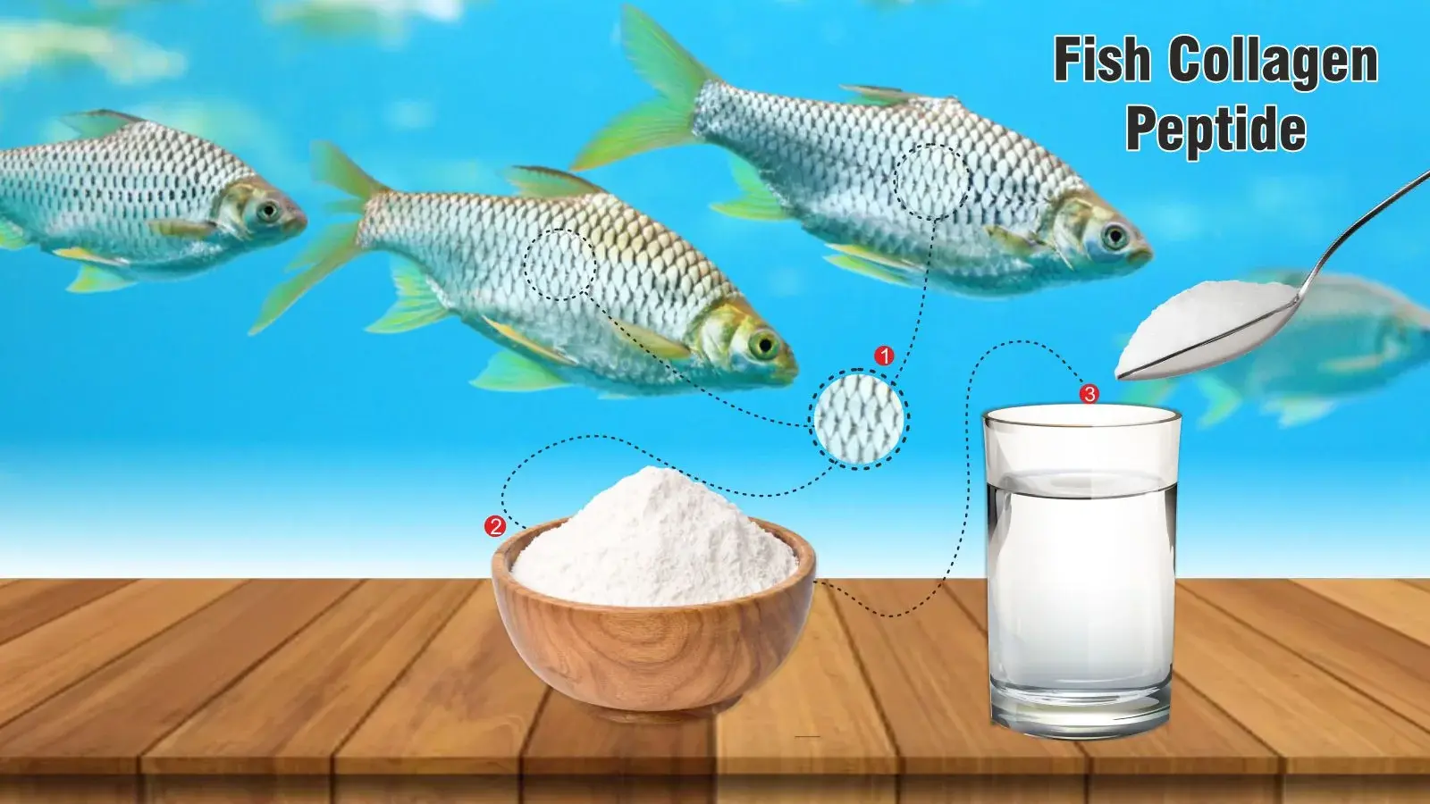 Fish Collagen Powder Fish Collagen Powder