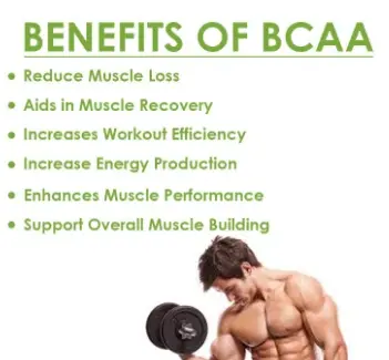BCAA Powder Benefits BCAA Powder Benefits
