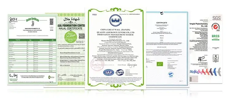 Certification Certification