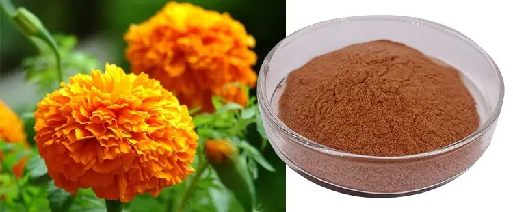zeaxanthin bulk