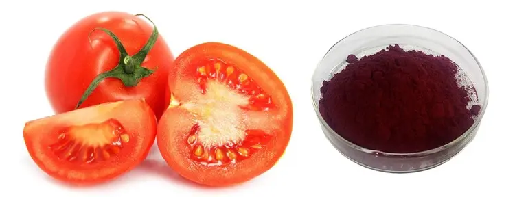 lycopene supplier