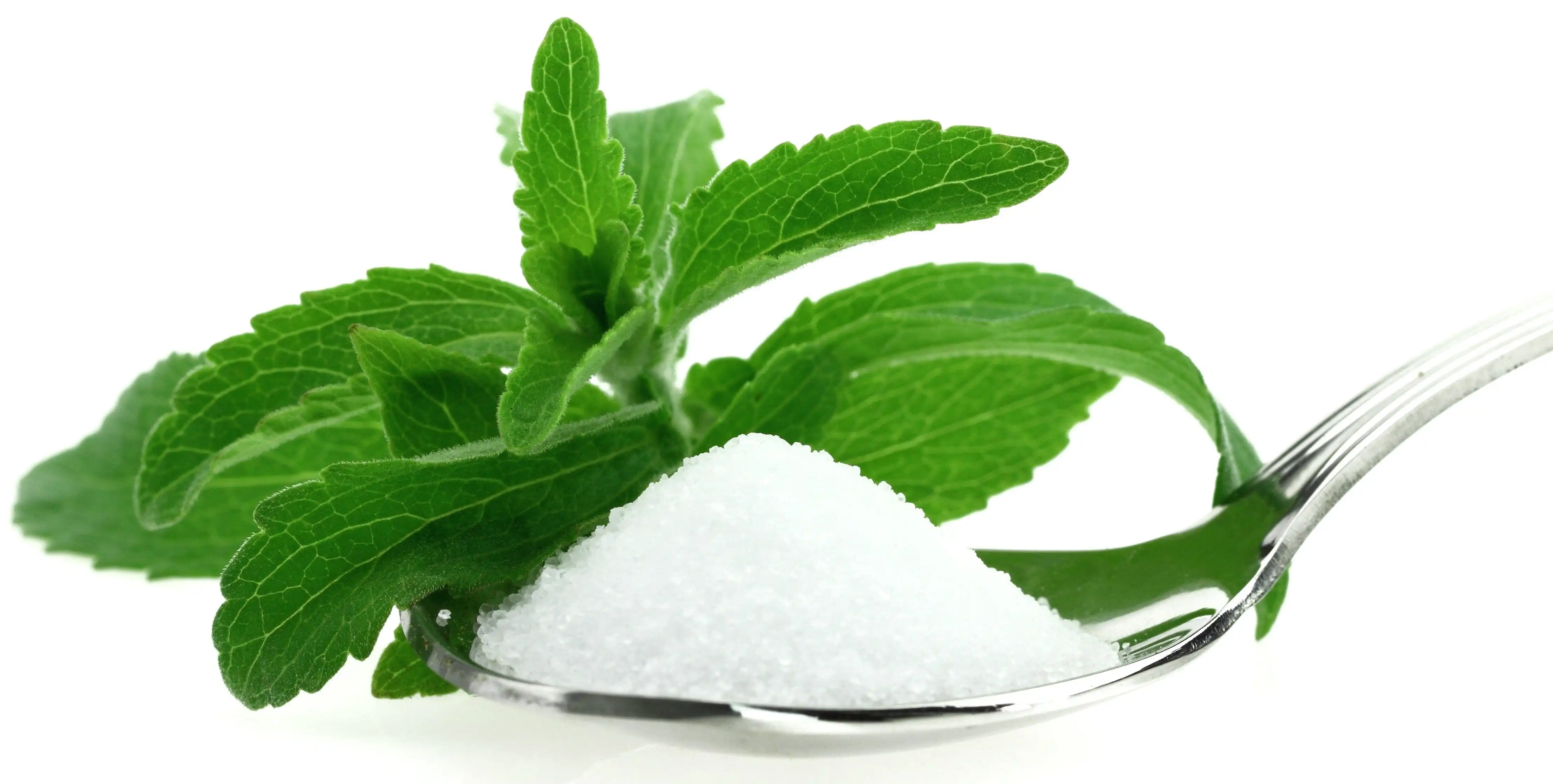 The World's Third Largest Sugar Source The World's Third Largest Sugar Source