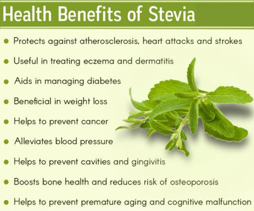 Health Benefits Of Stevia Extract 