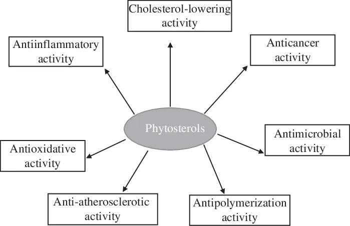 Health Benefits of phytosterols Health Benefits of phytosterols