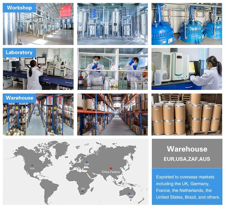 Stevia Powder factory Stevia Powder factory