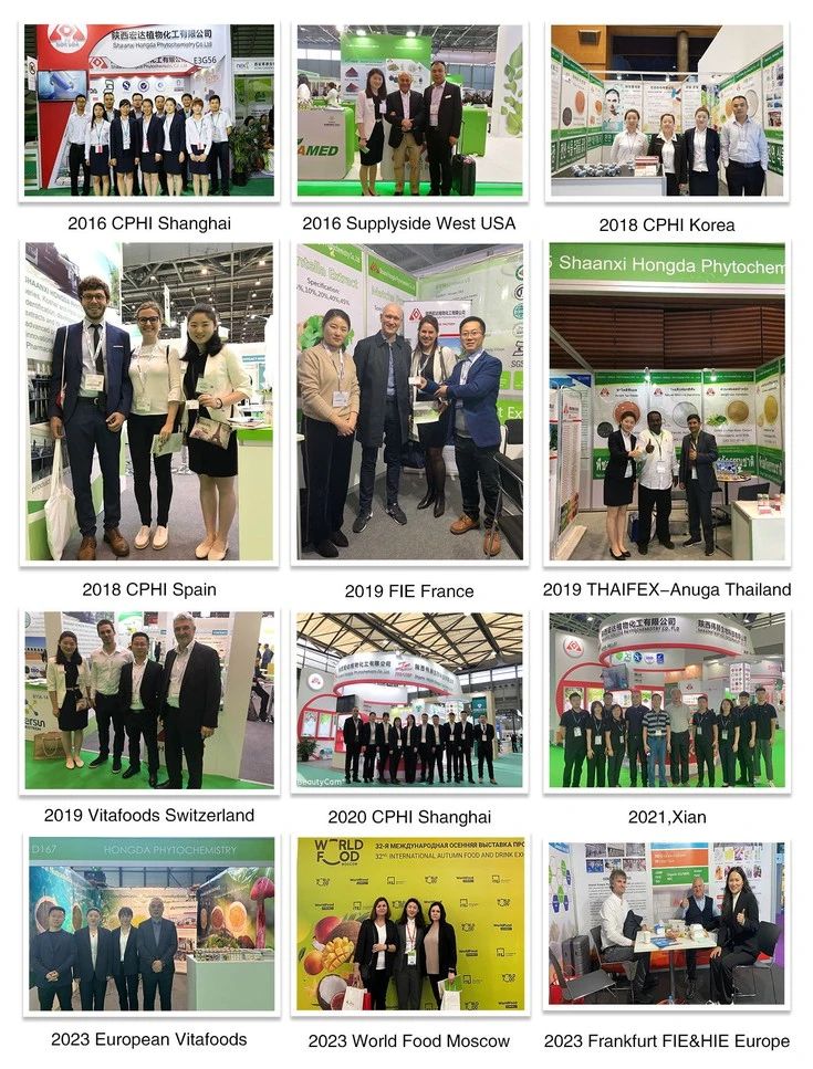 Stevia Extract Powder Bulk Exhibition Stevia Extract Powder Bulk Exhibition