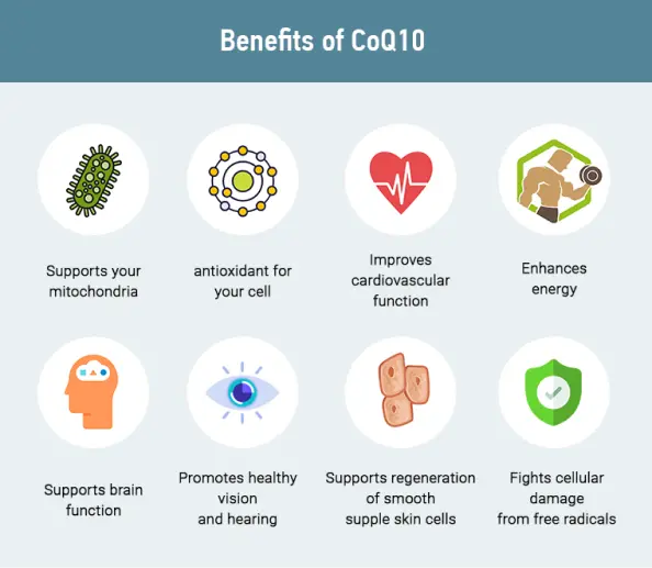 COQ 10 powder