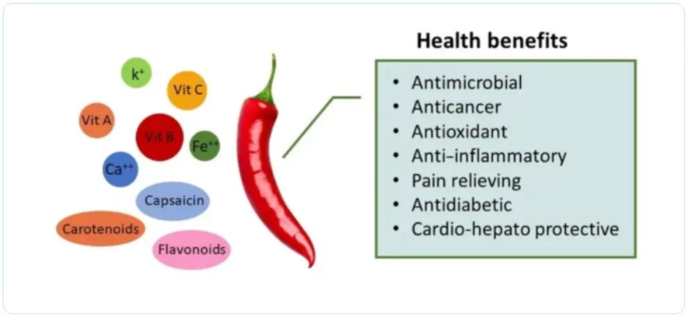 Capsicum Extract Benefits Capsicum Extract Benefits