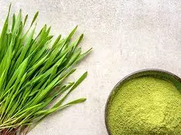 braley grass extract braley grass extract