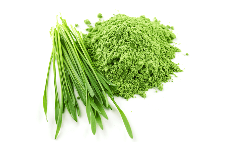 barley grass juice powder 