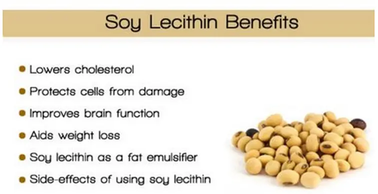 Organic Soy Lecithin Powder Benefits