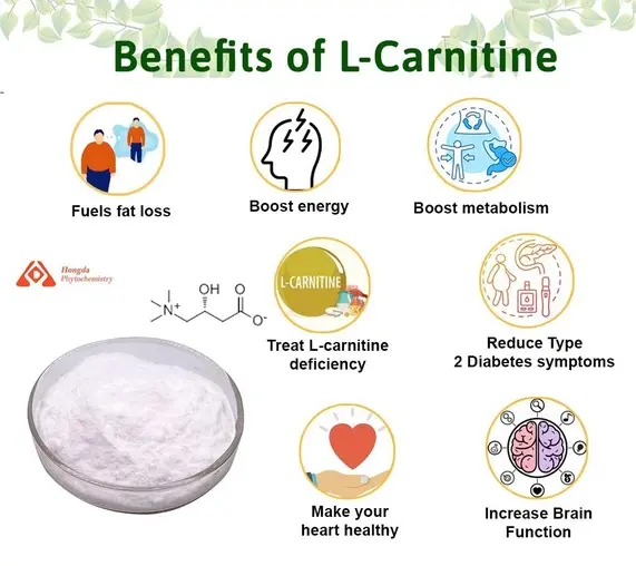L-carnitine benefits L-carnitine benefits