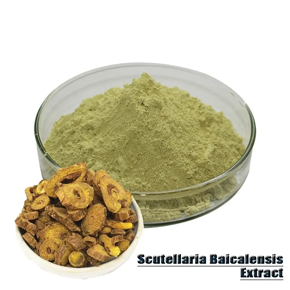 wholesale Scutellaria baicalensis extract powder wholesale Scutellaria baicalensis extract powder