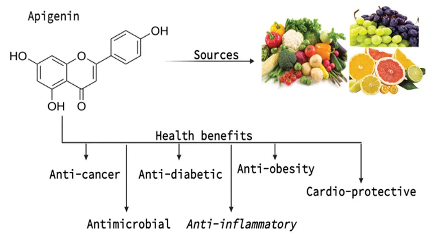 apigenin powder benefits apigenin powder benefits