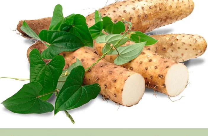 Wild Yam Powder Plant Source