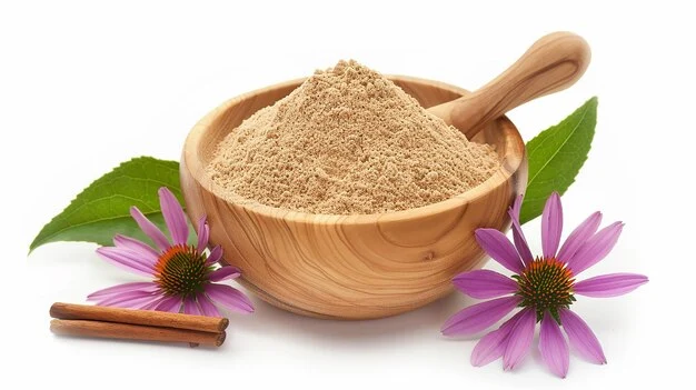 Echinacea Dry Extract Powder