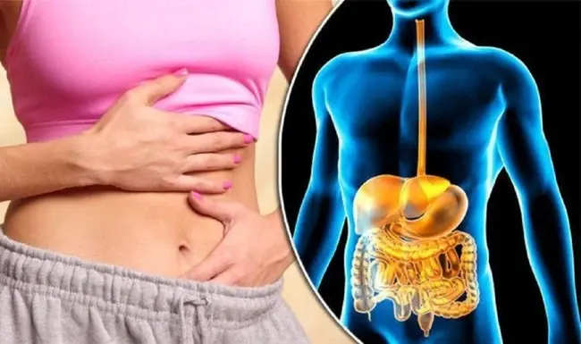 stachyose powder benefits stachyose powder benefits