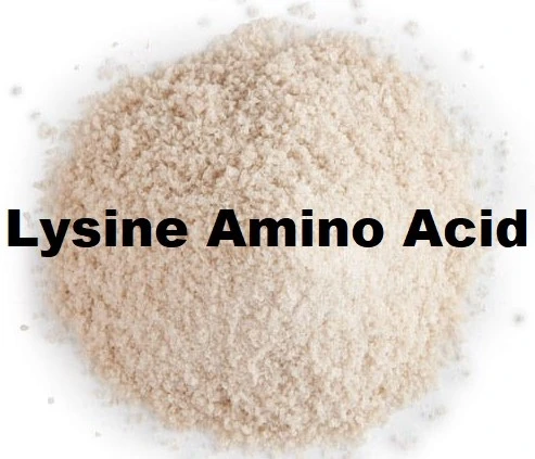 L Lysine HCL powder