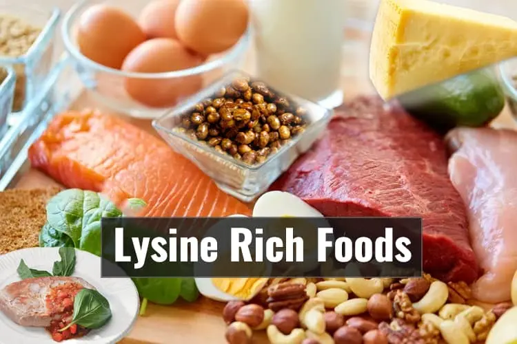 Lysine Rich Foods Lysine Rich Foods