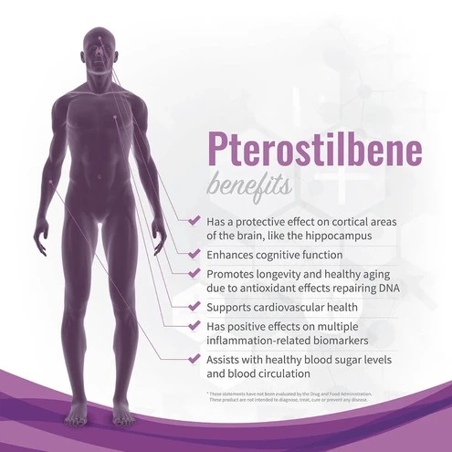 Pterostilbene Powder Benefits Pterostilbene Powder Benefits