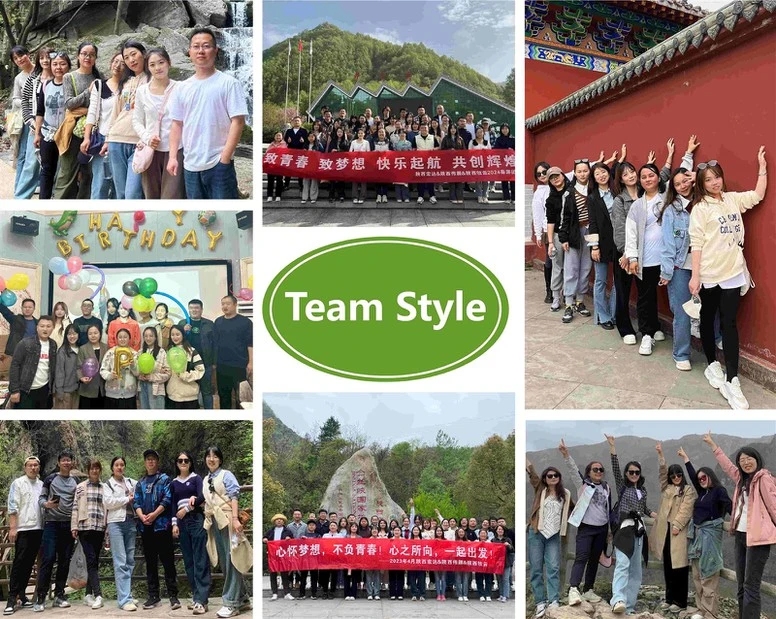 Hongda Team