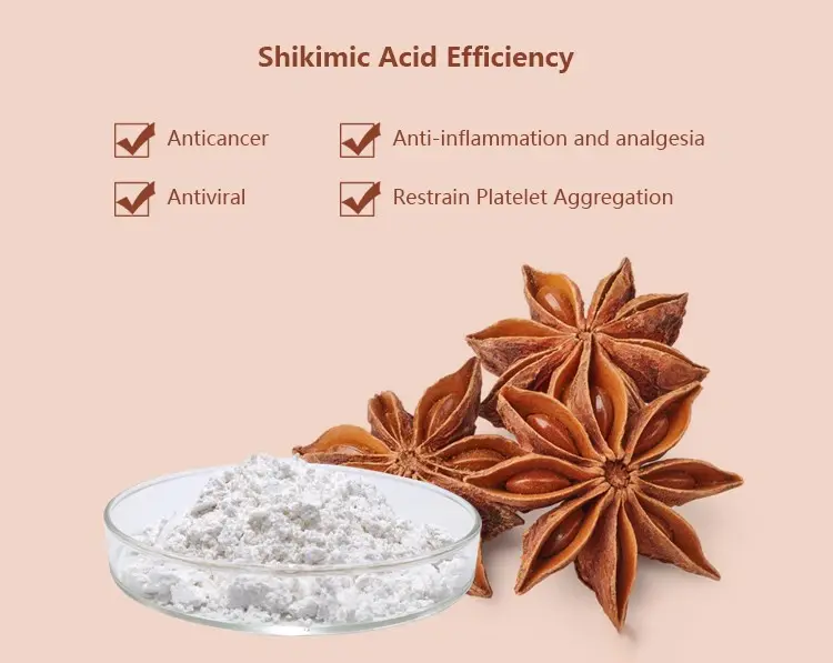 Star Anise Benefits Star Anise Benefits